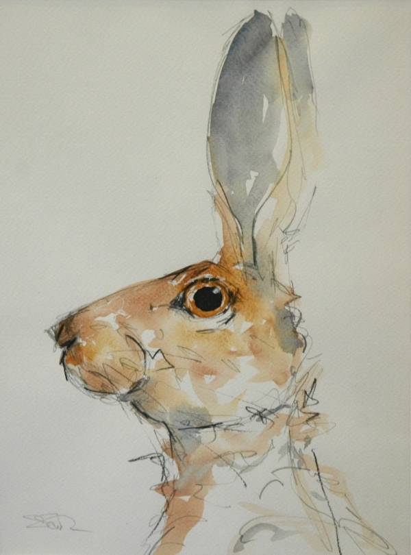 - Ink on Paper, Painting by Suzy Sharpe, measuring 30 x 22 cm (H x W) framed at 56 x 46 cm £195
